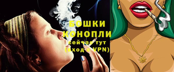 молекула духа Инсар
