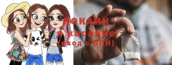 молекула духа Инсар
