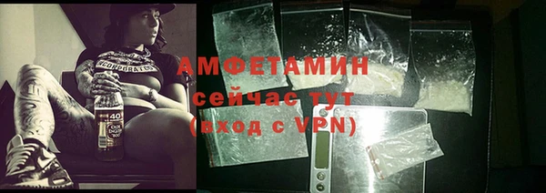 шишки Инта