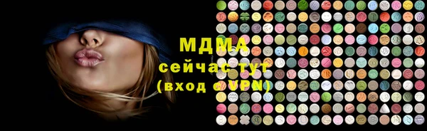 шишки Инта