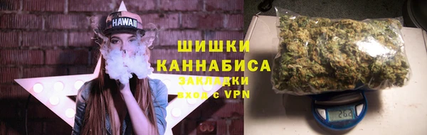 молекула духа Инсар