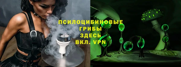 молекула духа Инсар
