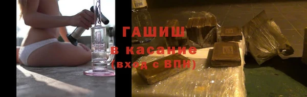 шишки Инта