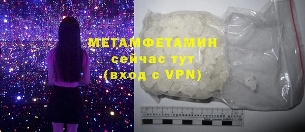 шишки Инта