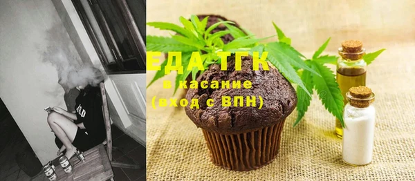 шишки Инта