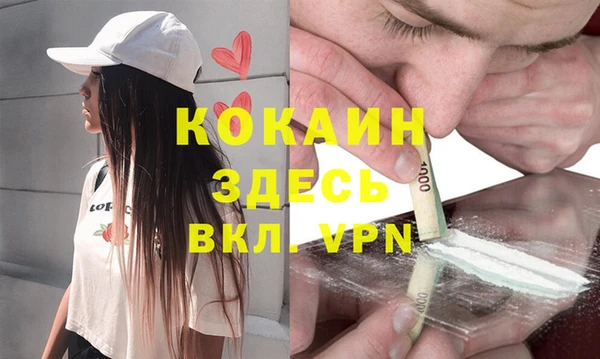 шишки Инта