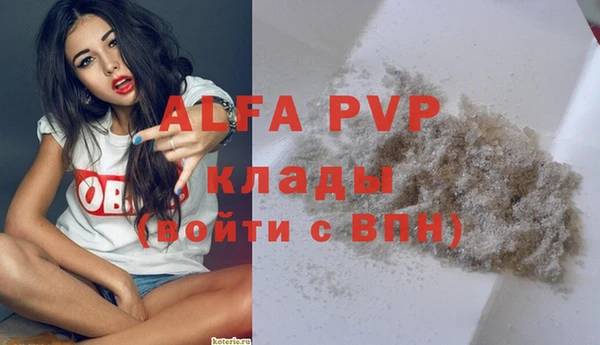 молекула духа Инсар
