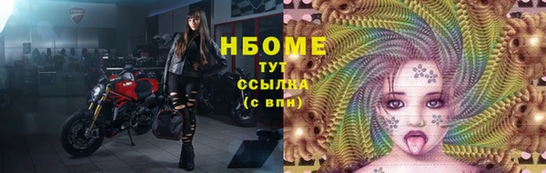 шишки Инта