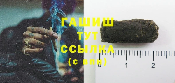 шишки Инта